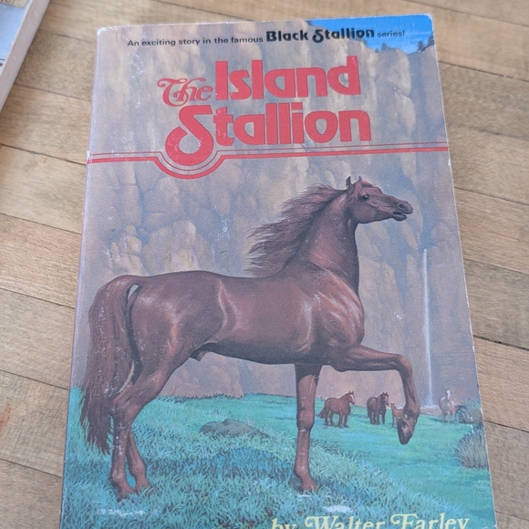 The Black Stallion Book Collection - Picture 7 of 14